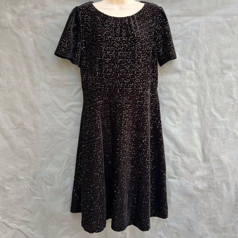 RSVP by Talbots Black Velvet Formal Party Dress Size 6 Concert Short Sleeve